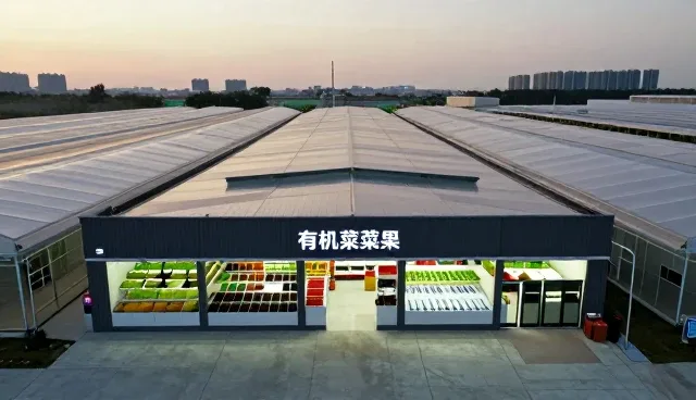 有机蔬菜套装在家庭与社区中的应用场景分析