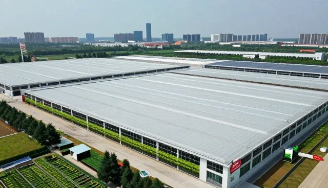 绿色水果组合选型中的保鲜技术关注点